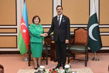 Sahibə Qafarova Pakistan Senatının sədri ilə görüşüb (FOTO)