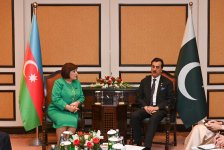 Sahibə Qafarova Pakistan Senatının sədri ilə görüşüb (FOTO)