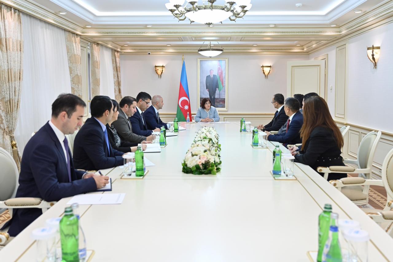 Milli Məclisin sədri Sahibə Qafarova TÜRKPA-nın yeni Baş katibinin başçılıq etdiyi nümayəndə heyətini qəbul edib (FOTO)