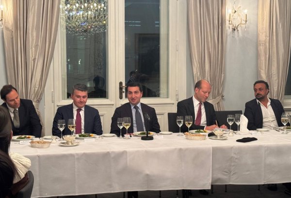 Hikmət Hacıyev Bundestaqın nümayəndələri ilə Azərbaycanın sülhün möhkəmləndirilməsində rolunu müzakirə edib (FOTO)