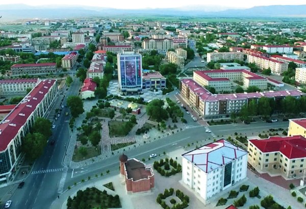 Naxçıvanda dövlət mülkiyyətində olan torpaq sahəsi bərpa olunan enerji mənbələrinin ərazisi kimi müəyyən edilib