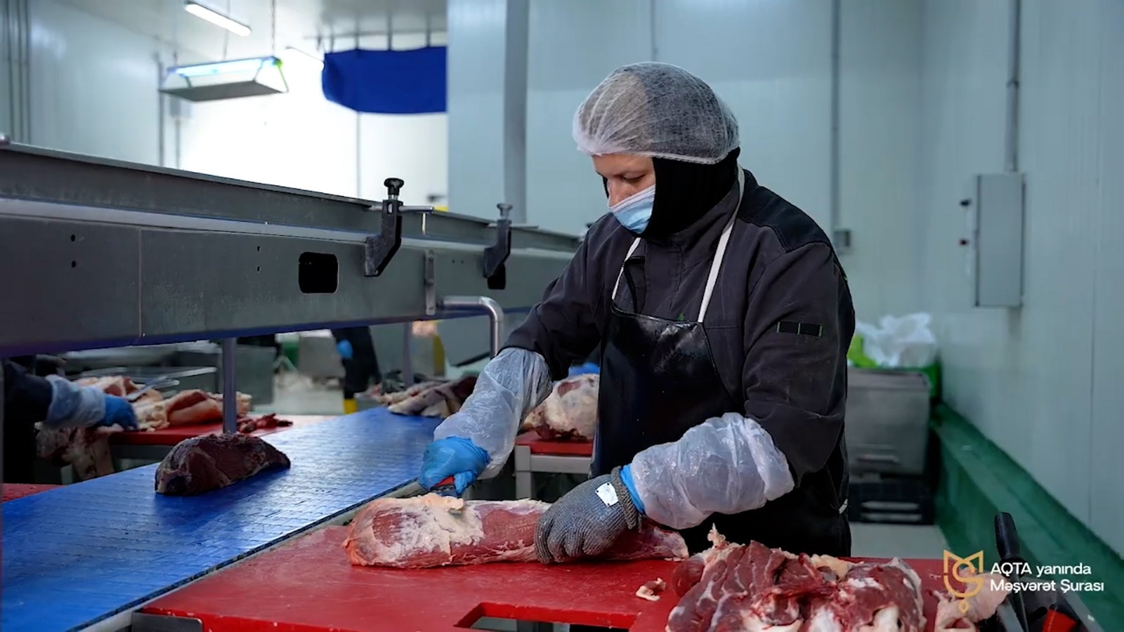 Qanunsuz heyvan kəsimi və ət satışı ilə bağlı 4748 obyektdə monitorinq keçirilib