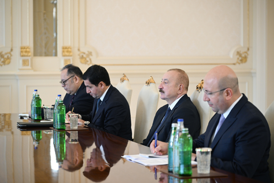 Prezident İlham Əliyev BMT-nin Məskunlaşma Proqramının icraçı direktorunu qəbul edib (FOTO)