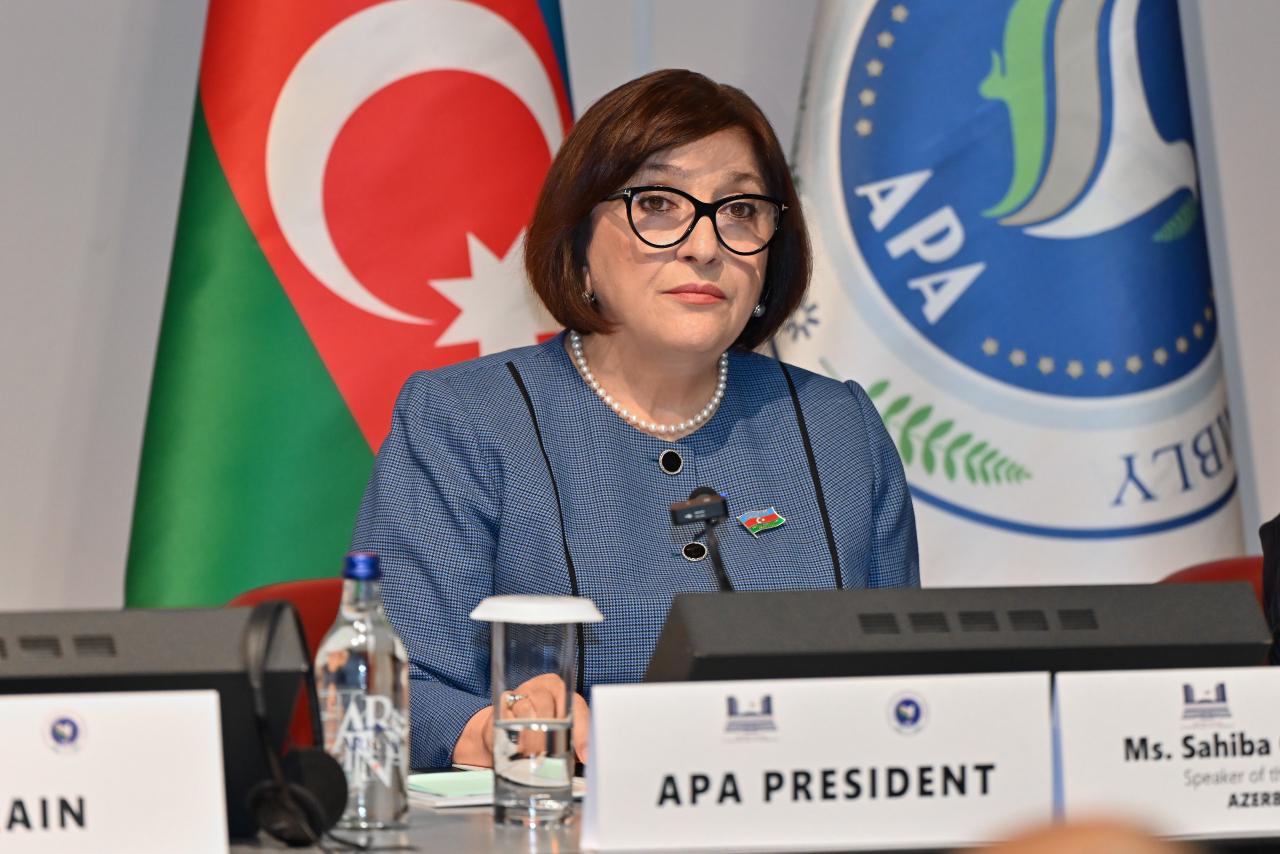 Milli Məclisin sədri Sahibə Qafarova Cenevrədə Asiya Parlament Assambleyasının Koordinasiya görüşünə sədrlik edib (FOTO)
