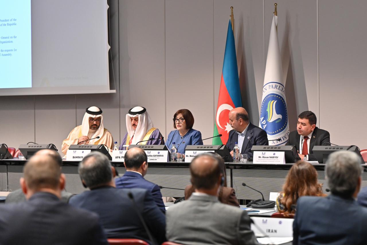 Milli Məclisin sədri Sahibə Qafarova Cenevrədə Asiya Parlament Assambleyasının Koordinasiya görüşünə sədrlik edib (FOTO)