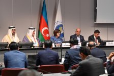 Milli Məclisin sədri Sahibə Qafarova Cenevrədə Asiya Parlament Assambleyasının Koordinasiya görüşünə sədrlik edib (FOTO)