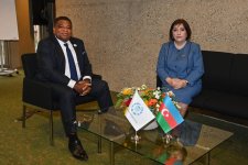 Sahibə Qafarova PAİ-nin baş katibi ilə görüşüb (FOTO)