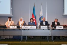 Milli Məclisin sədri Sahibə Qafarova Cenevrədə Asiya Parlament Assambleyasının Koordinasiya görüşünə sədrlik edib (FOTO)