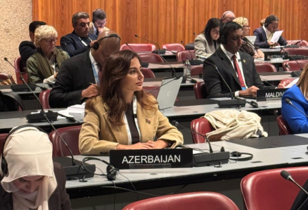 Əminə Ağazadə Parlamentlərarası İttifaqın komitə iclasında çıxış edib (FOTO)