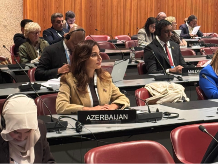 Əminə Ağazadə Parlamentlərarası İttifaqın komitə iclasında çıxış edib (FOTO)