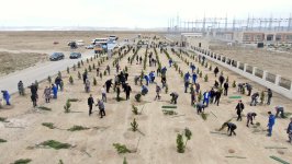 “AzərEnerji” Energetiklər Günü ilə bağlı silsilə tədbirlər keçirib (FOTO)