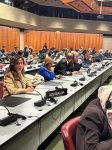 Əminə Ağazadə Parlamentlərarası İttifaqın komitə iclasında çıxış edib (FOTO)