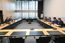 Sahibə Qafarova Cenevrədə Namibiya və Bosniya və Herseqovinanın parlament sədrləri ilə görüşüb (FOTO)