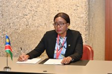 Sahibə Qafarova Cenevrədə Namibiya və Bosniya və Herseqovinanın parlament sədrləri ilə görüşüb (FOTO)