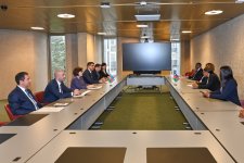 Sahibə Qafarova Cenevrədə Namibiya və Bosniya və Herseqovinanın parlament sədrləri ilə görüşüb (FOTO)