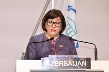 Milli Məclisin sədri Sahibə Qafarova Parlamentlərarası İttifaqın 151-ci Assambleyasında çıxış edib (FOTO)