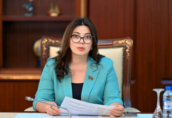 Milli Məclisin deputatı Borjomidə QDİƏT PA-nın komitə iclasında iştirak edəcək