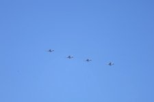 "Birlik - 2025" birgə təliminin "Yüksək Səviyyəli Müşahidəçi Günü" keçirilib (FOTO/VİDEO)