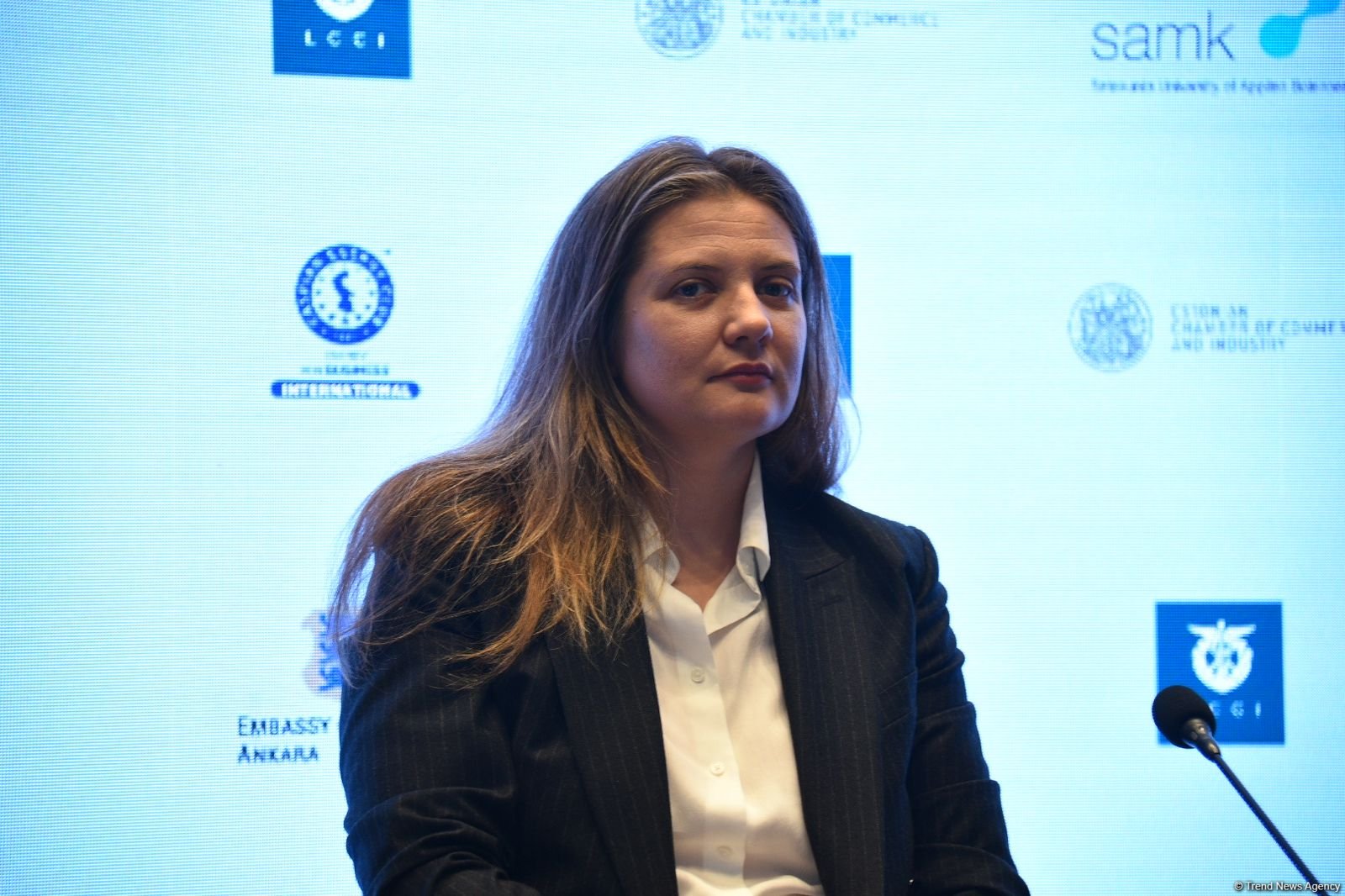 Latviya şirkətləri İKT və innovasiyalar sahəsində Azərbaycanla əməkdaşlıq üçün perspektivlər görür - Katrinа Zarina