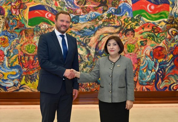 Milli Məclisin sədri Estoniyanın xarici işlər naziri ilə görüşüb (FOTO)