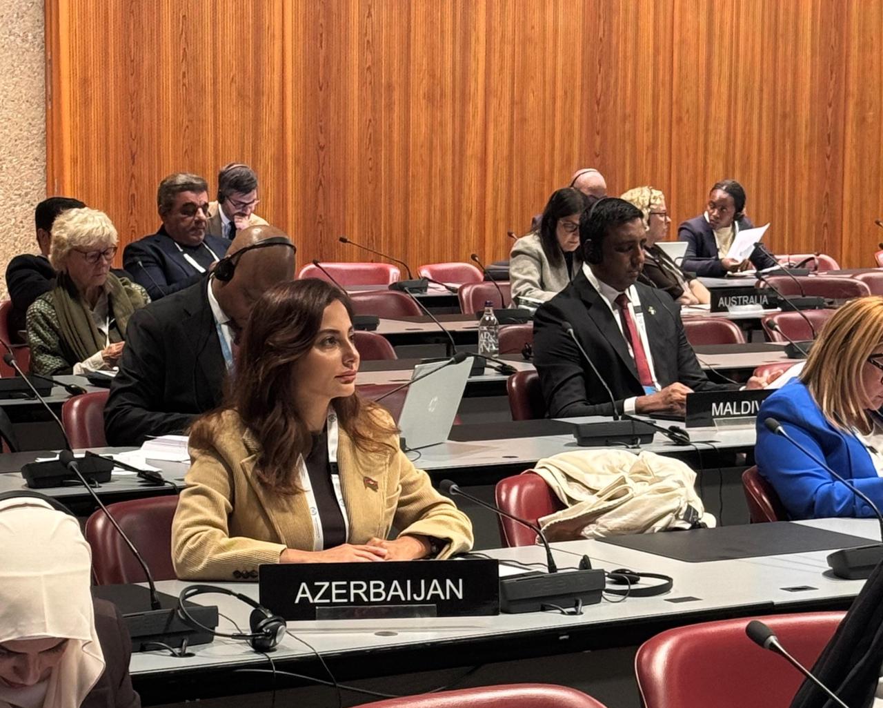 Azərbaycan parlament nümayəndə heyətinin üzvləri 151-ci Assambleya çərçivəsində keçirilən müzakirələrdə çıxış ediblər (FOTO)