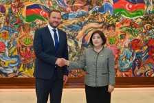 Milli Məclisin sədri Estoniyanın xarici işlər naziri ilə görüşüb (FOTO)