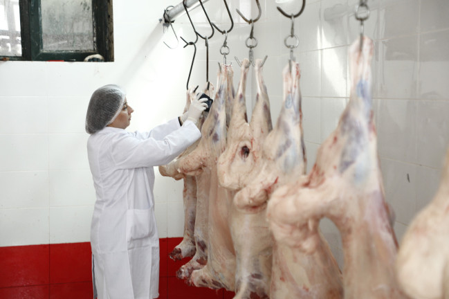 Ölkə üzrə heyvan kəsimi məntəqələrinin fəaliyyəti əvvəlki qaydada davam edir - AQTA