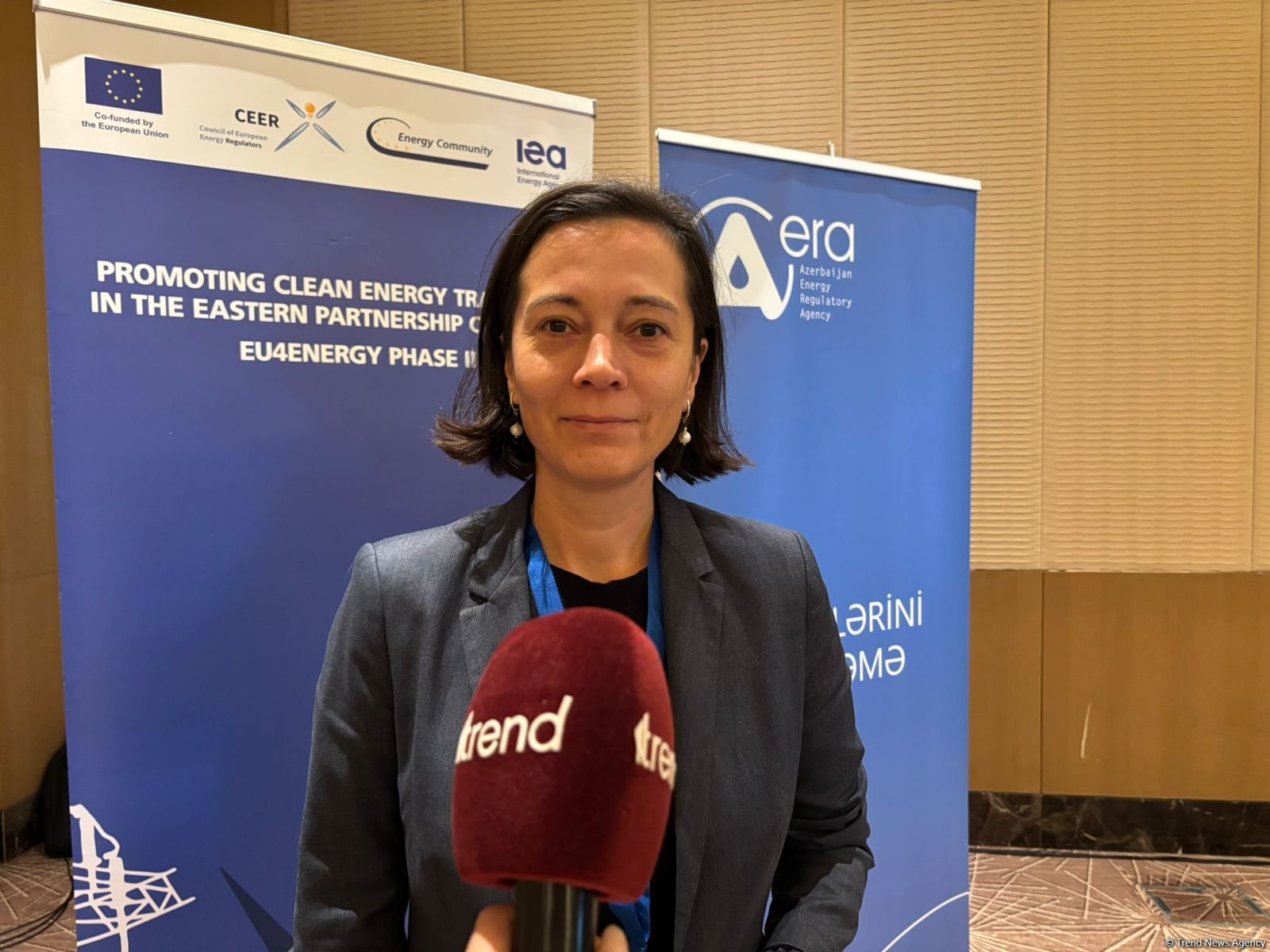 Avropa İttifaqı Azərbaycanda “yaşıl keçid"ə dəstək verməyə hazırdır (Özəl)