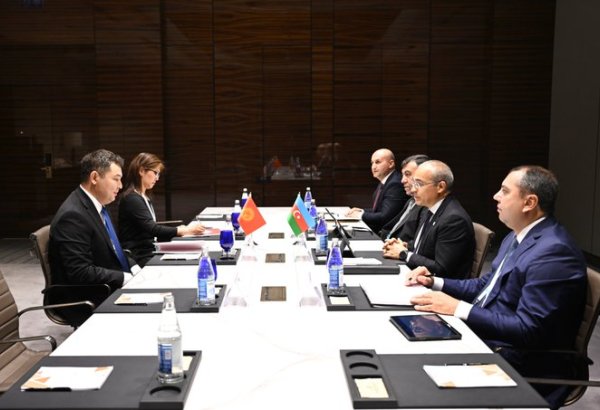 Azərbaycan Qırğız Respublikası ilə ticarət dövriyyəsinin artırılması imkanlarını dəyərləndirib