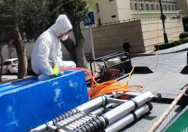 Paytaxtda Ağ Amerika kəpənəklərinə qarşı profilaktika işləri aparılır (FOTO)