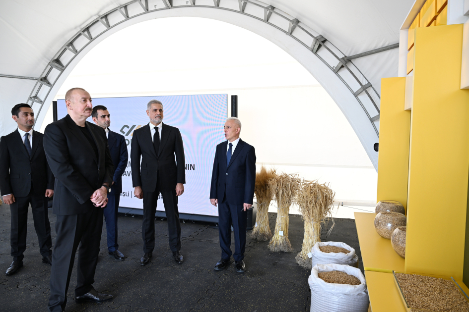 Prezident İlham Əliyev İmişlidə “Promalt” MMC-nin arpa emalı müəssisəsinin açılışında iştirak edib (FOTO)