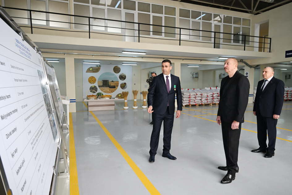 Prezident İlham Əliyev Sabirabad Sənaye Məhəlləsində toxum istehsalı müəssisəsinin fəaliyyəti ilə tanış olub (FOTO)