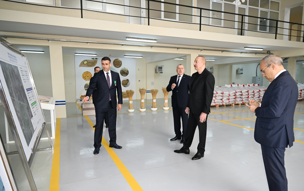 Prezident İlham Əliyev Sabirabad Sənaye Məhəlləsində toxum istehsalı müəssisəsinin fəaliyyəti ilə tanış olub (FOTO)