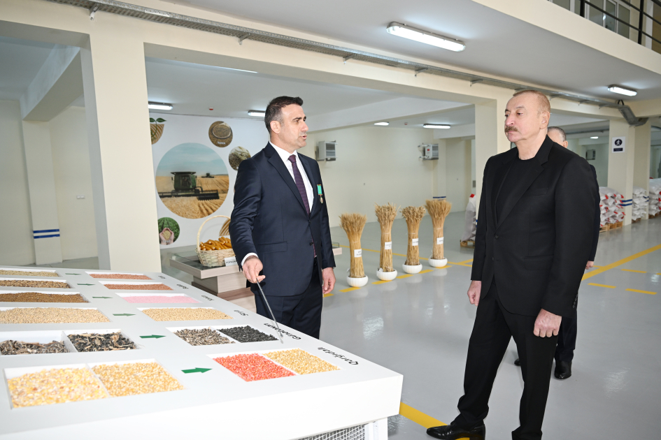 Prezident İlham Əliyev Sabirabad Sənaye Məhəlləsində toxum istehsalı müəssisəsinin fəaliyyəti ilə tanış olub (FOTO)