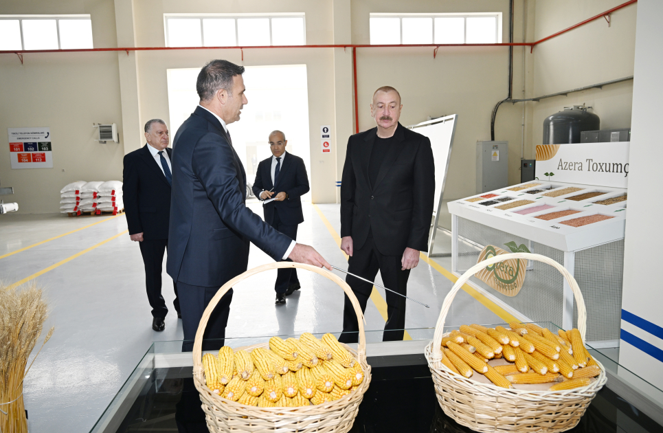 Prezident İlham Əliyev Sabirabad Sənaye Məhəlləsində toxum istehsalı müəssisəsinin fəaliyyəti ilə tanış olub (FOTO)