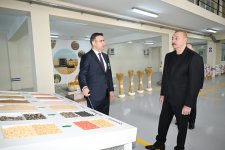 Prezident İlham Əliyev Sabirabad Sənaye Məhəlləsində toxum istehsalı müəssisəsinin fəaliyyəti ilə tanış olub (FOTO)