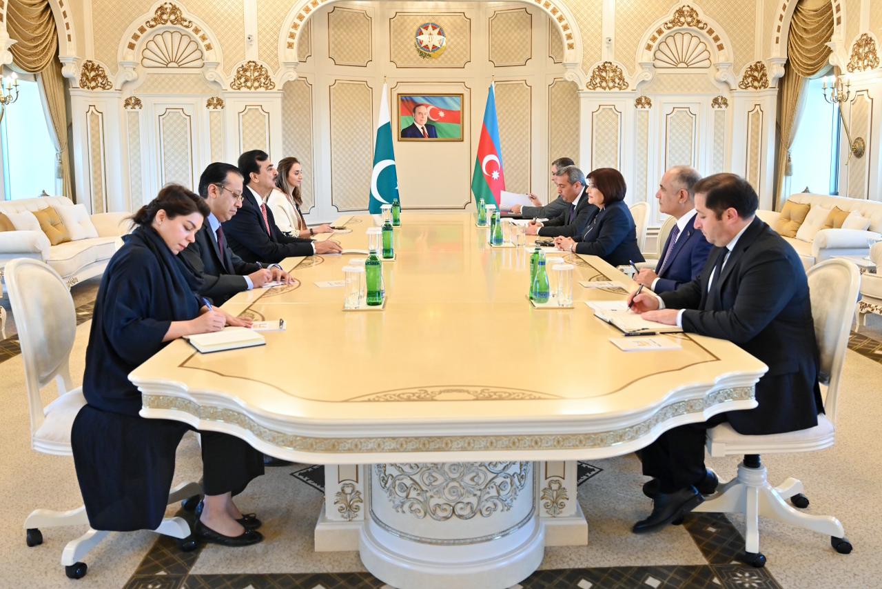 Sahibə Qafarova Pakistan Senatının sədri ilə görüşüb (FOTO)