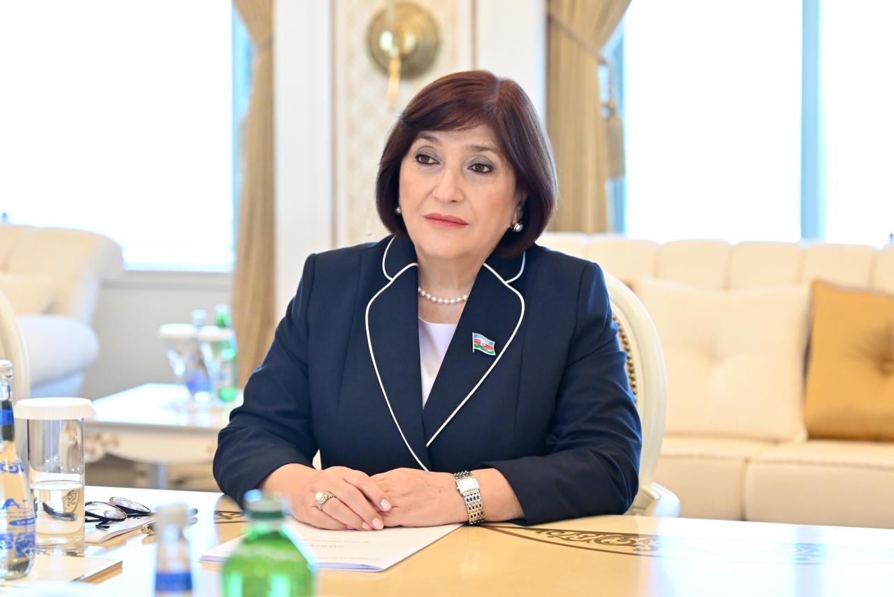Sahibə Qafarova Pakistan Senatının sədri ilə görüşüb (FOTO)
