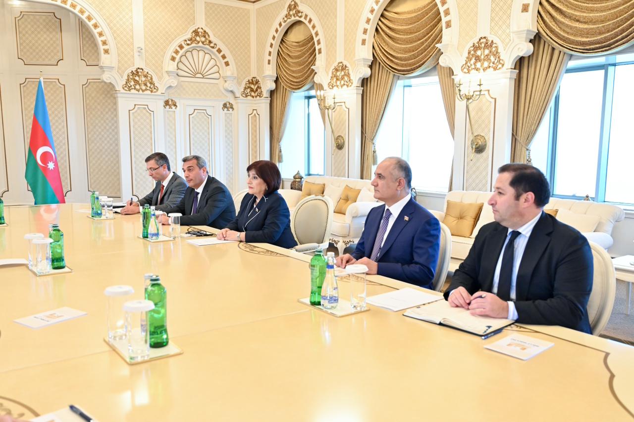 Sahibə Qafarova Pakistan Senatının sədri ilə görüşüb (FOTO)