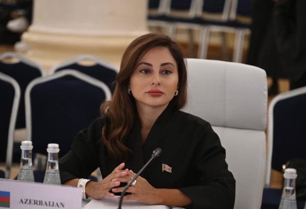 Azərbaycan regionu sülh, əməkdaşlıq və davamlı inkişaf məkanı kimi görmək istəyir (FOTO/VİDEO)