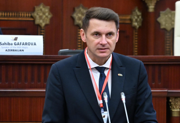 Rumıniya Senatının sədri Azərbaycanla əməkdaşlıq üçün birgə parlament qrupunun yaradılmasını təklif edib