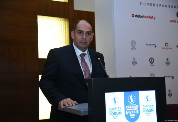 Azərbaycan Xəzər dənizini Avropaya birləşdirəcək interkonnektorun texniki-iqtisadi əsaslandırmasının ilin sonuna kimi yekunlaşacağını gözləyir - Cavid Abdullayev