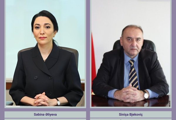 Səbinə Əliyeva Monteneqro Ombudsmanına bu ölkədə saxlanılan Azərbaycan vətəndaşlarının hüquqlarının müdafiəsi ilə bağlı məktub ünvanlayıb