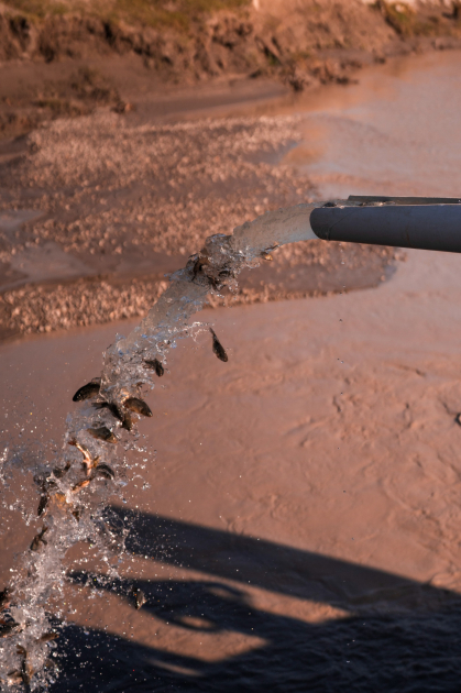 Heydər Əliyev Fondunun vitse-prezidenti Leyla Əliyeva və Bakı Media Mərkəzinin rəhbəri Arzu Əliyeva Qax rayonunda Axar-Baxar Milli Parkının açılış mərasimində iştirak ediblər (FOTO)