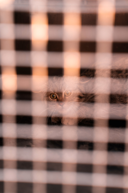 Heydər Əliyev Fondunun vitse-prezidenti Leyla Əliyeva və Bakı Media Mərkəzinin rəhbəri Arzu Əliyeva Qax rayonunda Axar-Baxar Milli Parkının açılış mərasimində iştirak ediblər (FOTO)