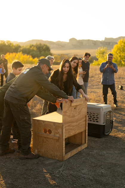 Heydər Əliyev Fondunun vitse-prezidenti Leyla Əliyeva və Bakı Media Mərkəzinin rəhbəri Arzu Əliyeva Qax rayonunda Axar-Baxar Milli Parkının açılış mərasimində iştirak ediblər (FOTO)