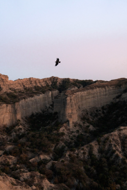 Heydər Əliyev Fondunun vitse-prezidenti Leyla Əliyeva və Bakı Media Mərkəzinin rəhbəri Arzu Əliyeva Qax rayonunda Axar-Baxar Milli Parkının açılış mərasimində iştirak ediblər (FOTO)