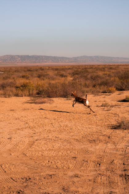 Heydər Əliyev Fondunun vitse-prezidenti Leyla Əliyeva və Bakı Media Mərkəzinin rəhbəri Arzu Əliyeva Qax rayonunda Axar-Baxar Milli Parkının açılış mərasimində iştirak ediblər (FOTO)