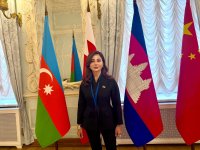 Azərbaycan regionu sülh, əməkdaşlıq və davamlı inkişaf məkanı kimi görmək istəyir (FOTO/VİDEO)