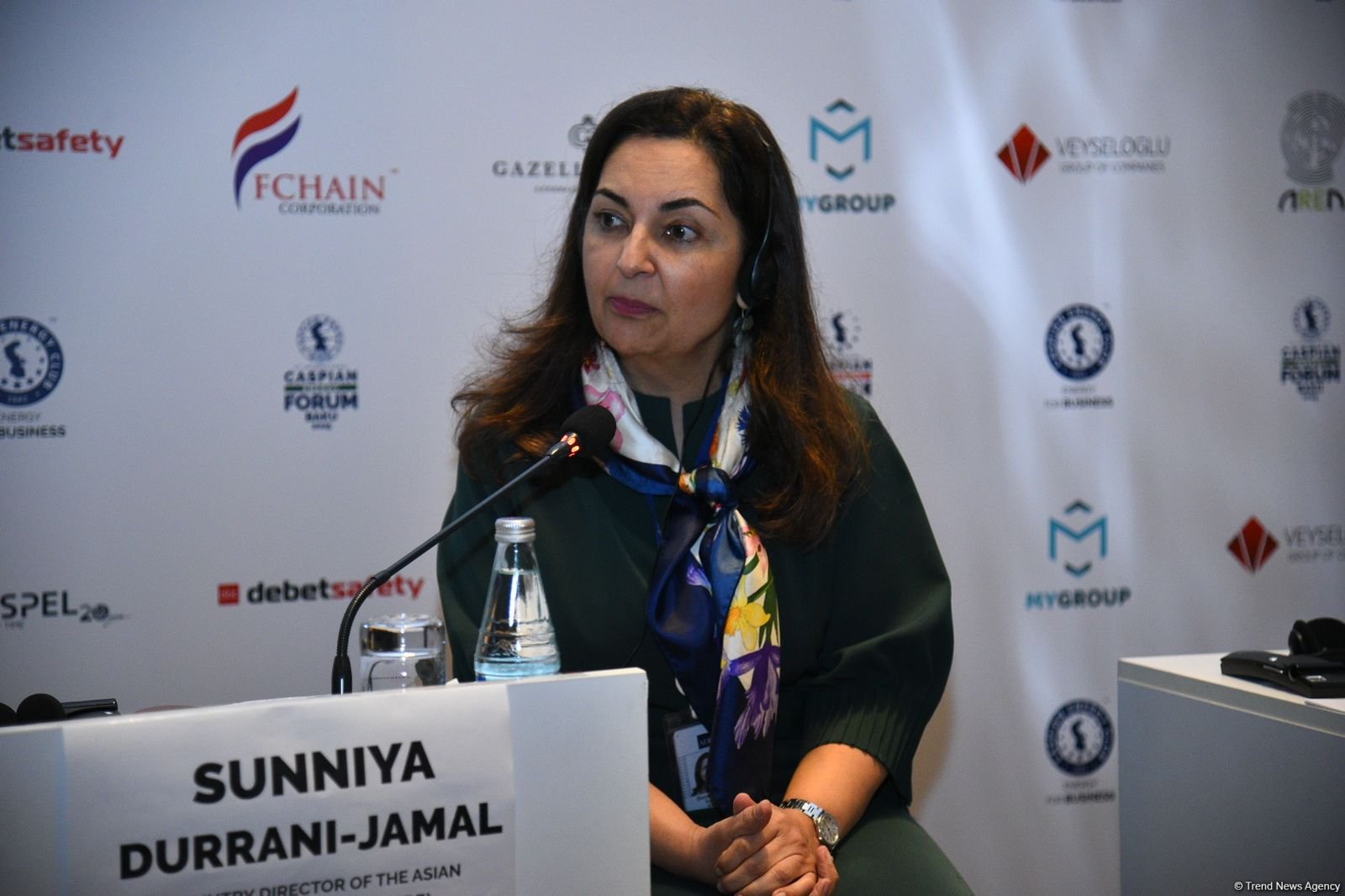 AİB Azərbaycanda bərpa olunan enerjinin inkişafını aktiv şəkildə dəstəkləyir